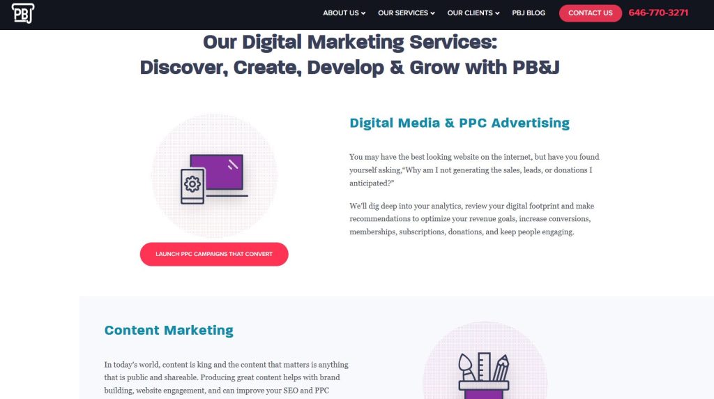 PBJ Marketing Review